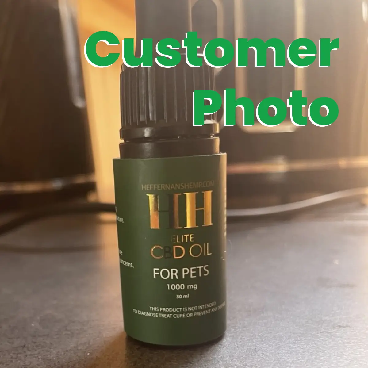 Heffernan’s Full-Spectrum Pet CBD Oil - 1000mg 3