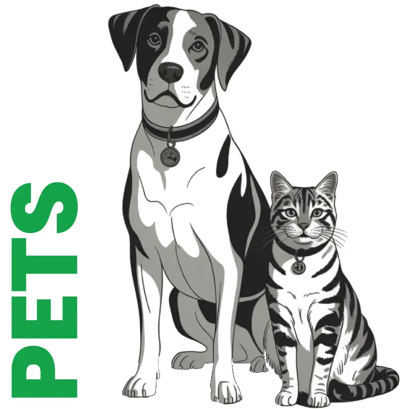 CBD for Pets